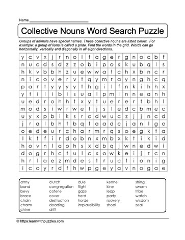 Collective Nouns Word Search 20