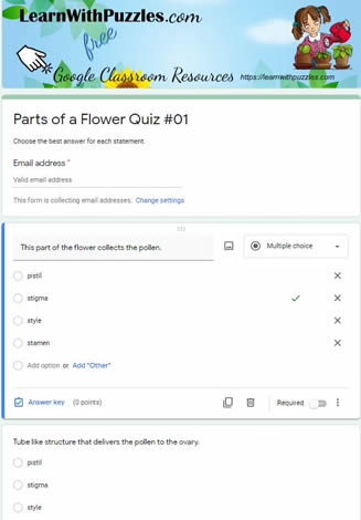 Parts of Flower Crossword#01