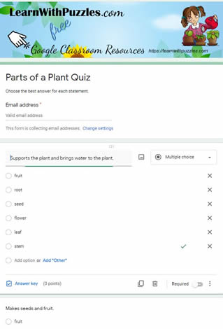 Plant Parts Crossword - No Hint