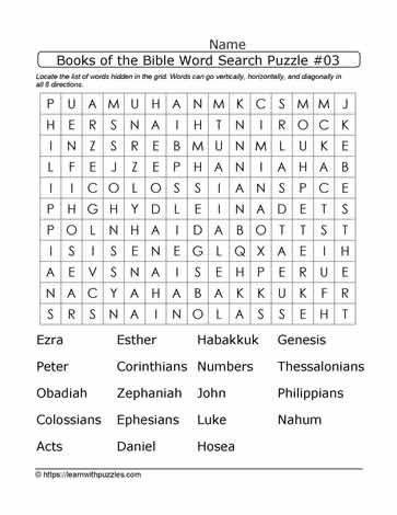 19 Books of the Bible Puzzle
