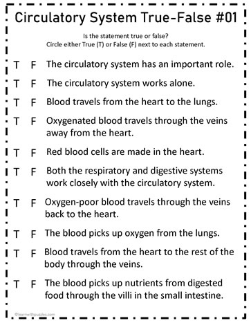 Circulatory System True-False #01