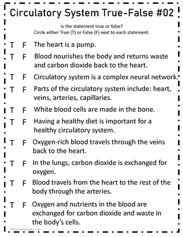 Circulatory System True-False#02