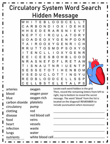 Circulatory System WordSearch#01