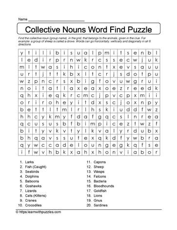 Collective Nouns Word Search 11