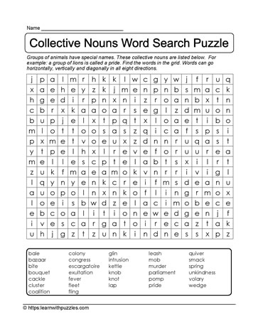 Collective Nouns Word Search 22