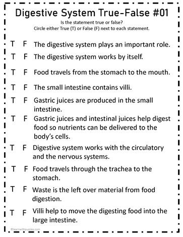 Digestive System True-False #01