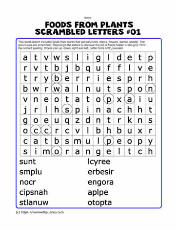 Foods From Plants Word Search#01