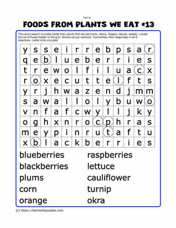 Foods From Plants Word Search#13
