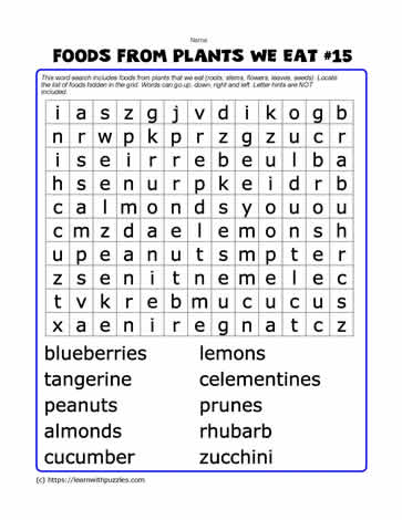 Foods From Plants Word Search#15
