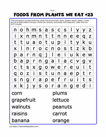 Foods From Plants Word Search#23