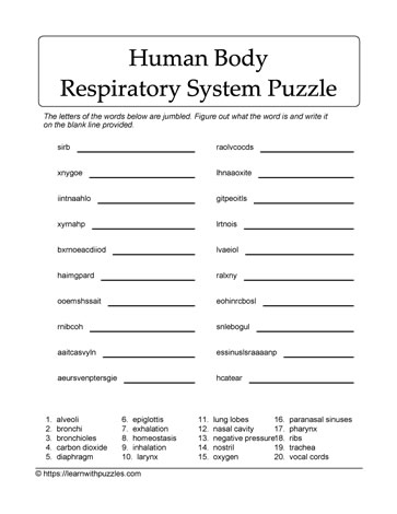 Respiratory Scrambled Letters