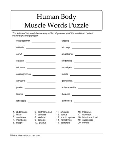 Muscle Words Scrambled