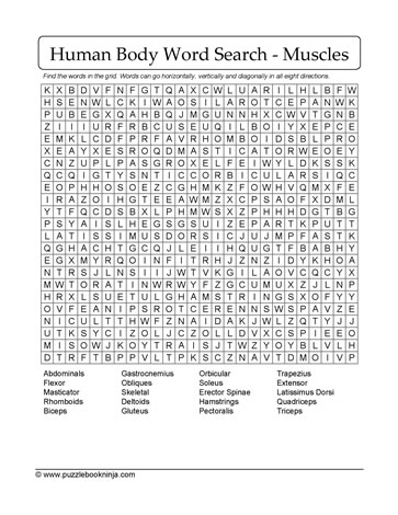 Muscles Word Search