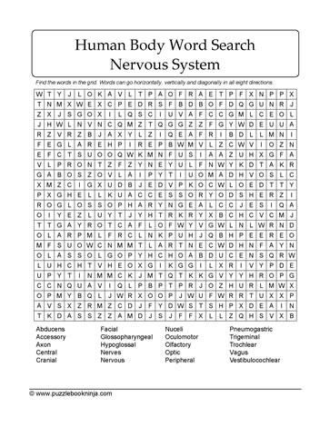 Nervous System Puzzle