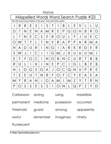 Misspelled Words Word Search 23