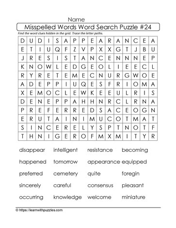 Misspelled Words Word Search 24
