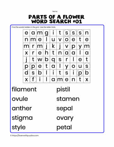 Parts of Flower Word Search#01