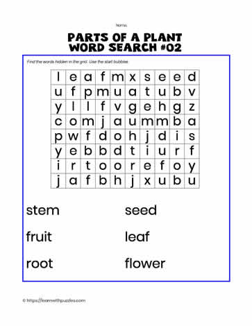Parts of Plant Word Search#02