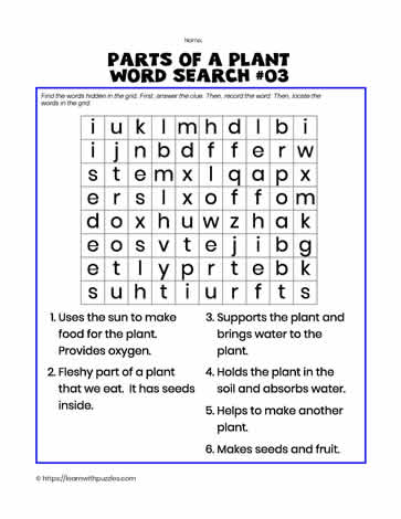 Parts of Plant Word Search#03