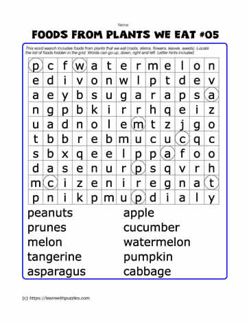 Foods From Plants Word Search#05