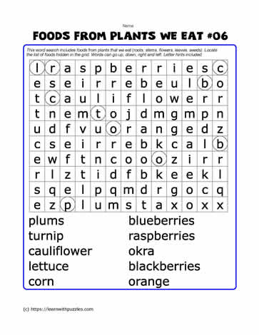 Foods From Plants Word Search#06