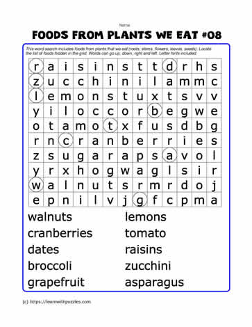Foods From Plants Word Search#08