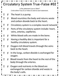 Circulatory System True-False#02