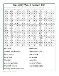 Heredity Word Search 01