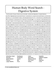 Digestive WordFind Puzzle