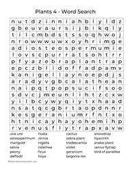 Large Print Word Search Plants 4