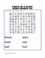 Parts of Plant Word Search#01