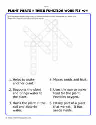 Plant Parts Wordfit #04