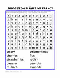 Foods From Plants Word Search#07