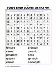 Foods From Plants Word Search#09