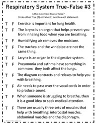 Respiratory System True False #3