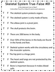 Skeletal System True-False #01